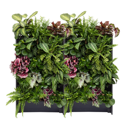PlantBox - Živá stěna 10 modulů
