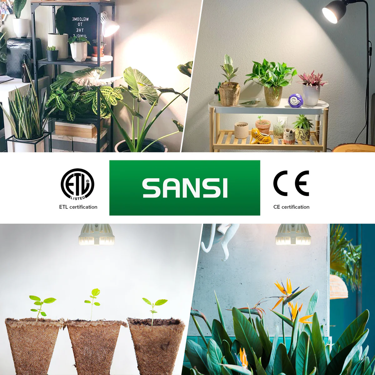 SANSI 10W LED žárovka pro růst rostlin