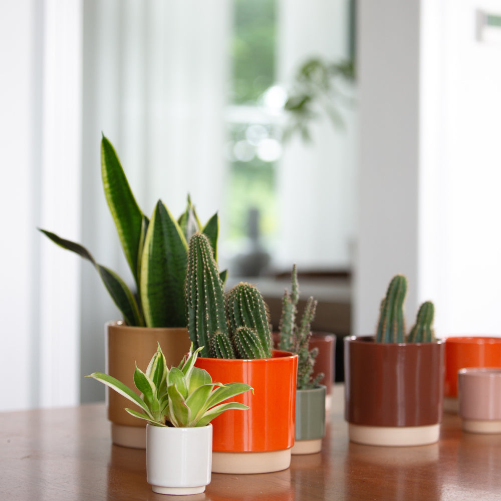 Obal na květináč Eno Růžová