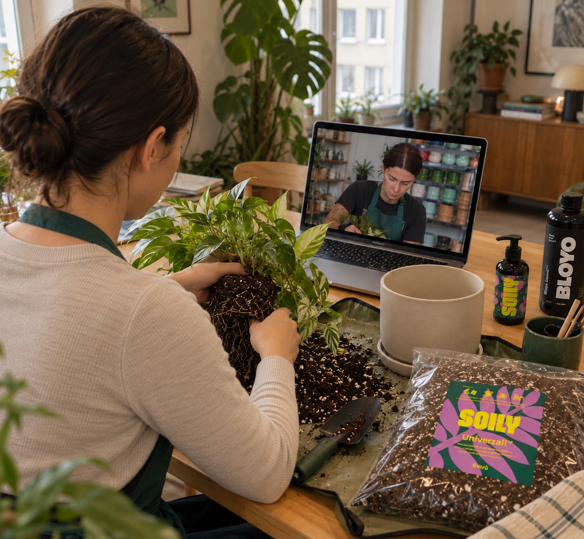 Online Workshop: Péče o pokojovky a jejich přesazování