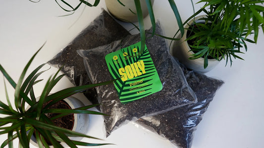 SOILY PALMA™ - Substrát bez rašeliny