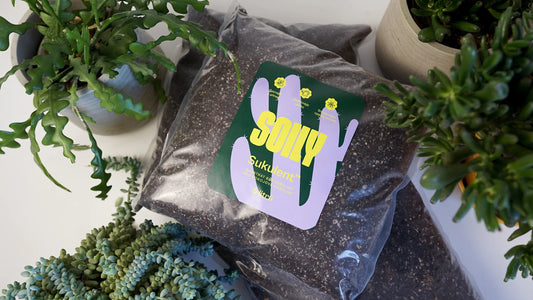 SOILY SUKULENT™ – Substrát bez rašeliny