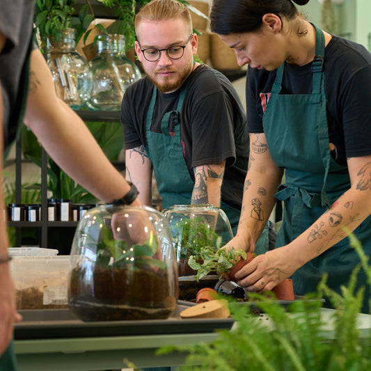 Make your own Terrarium – Workshop in English