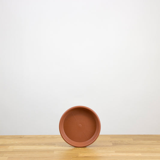 Plastová podmiska Madagascar