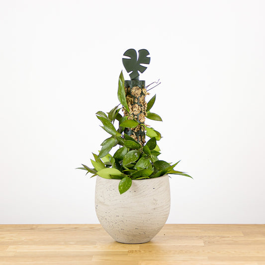 Nastavitelná rašeliníková tyč