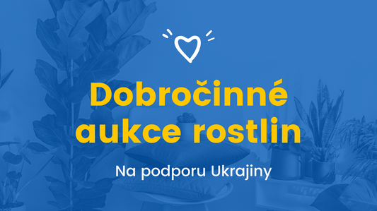 Aukce o rostliny na podporu Ukrajiny