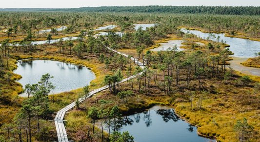 Substrát bez rašeliny? Jde to!