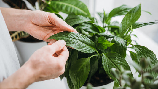 Jak se připravit na novou sezónu aneb Jaro je za dveřmi!