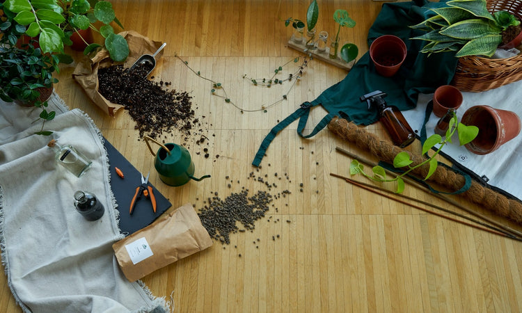 kolekce zahradnických potřeb na dřevěné podlaze včetně rostlin v květináčích, pytle se zeminou, lopatky, zelené zalévací konve, nůžek na rostliny, svazku juty, rostlinného substrátu a prázdných hlinitých květináčů.