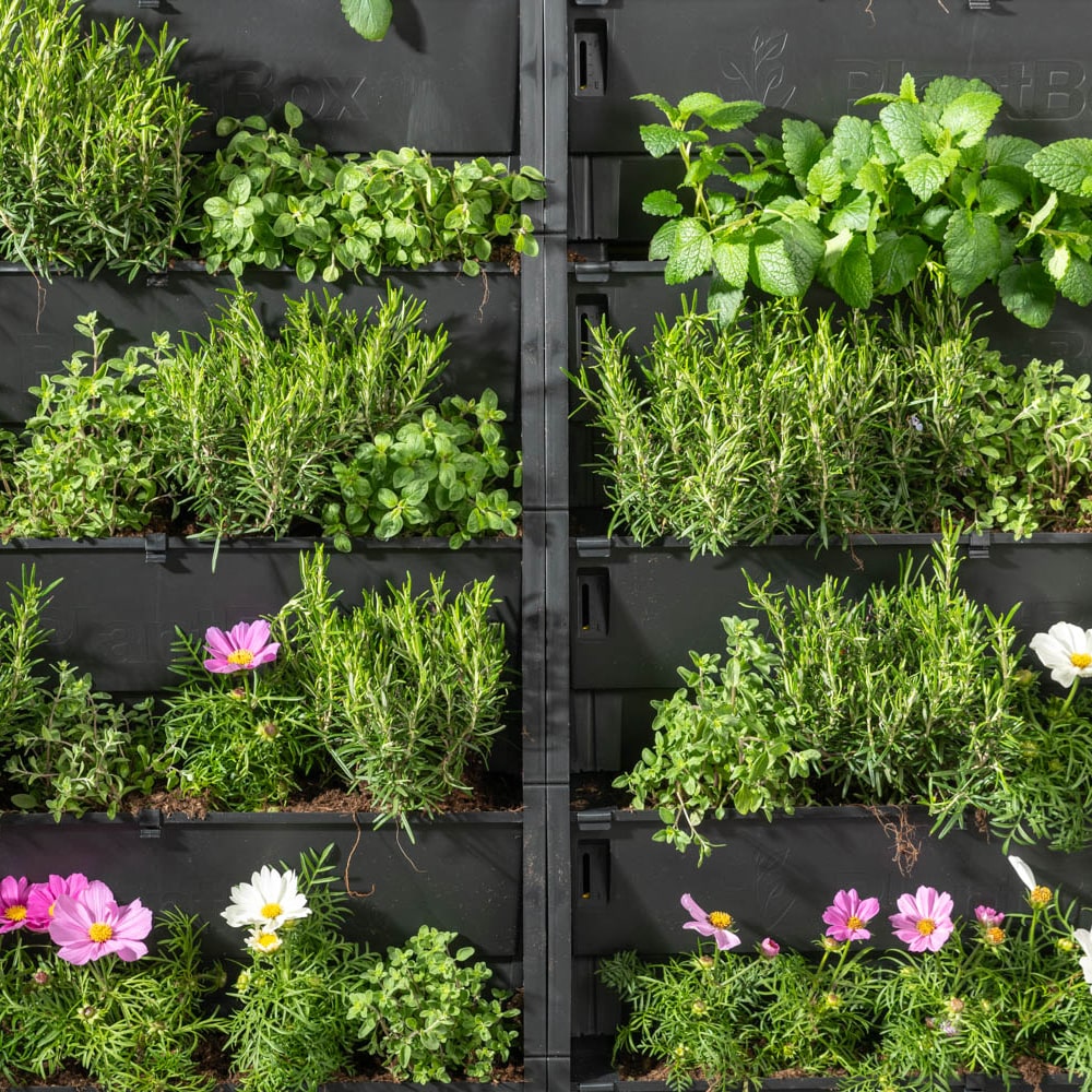 PlantBox - Živá stěna 3 moduly