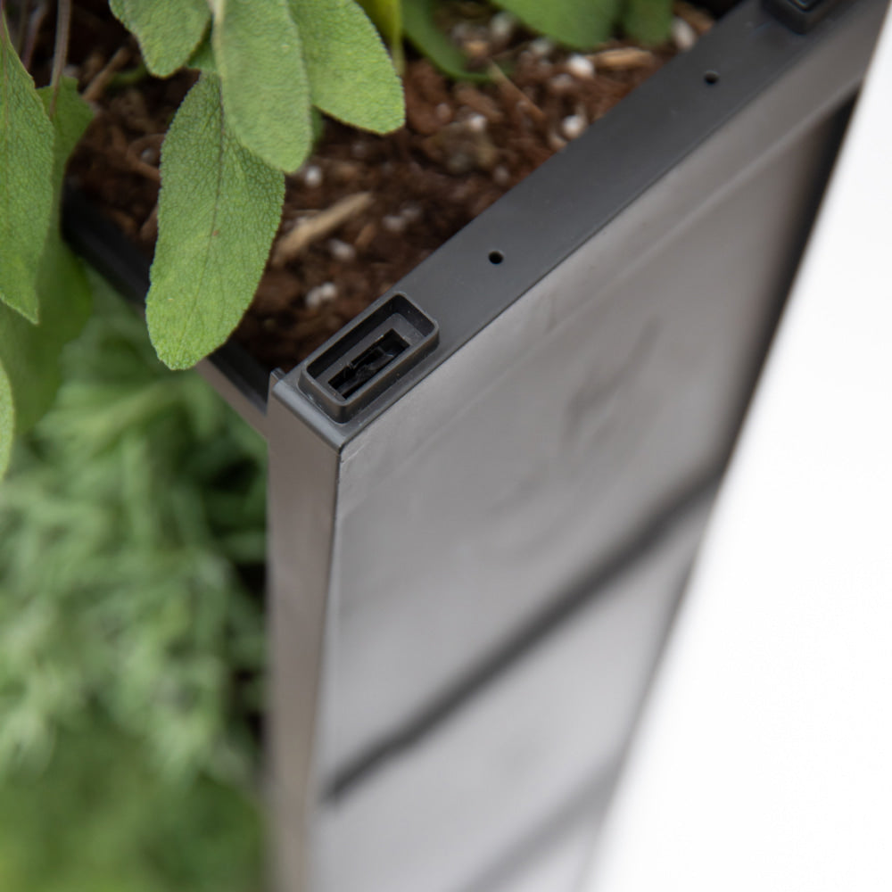 PlantBox - Živá stěna 3 moduly