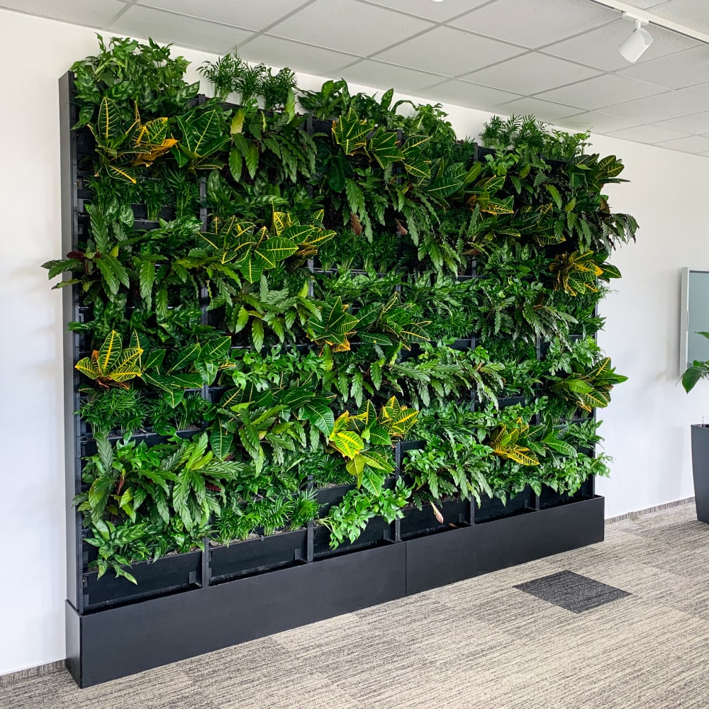 PlantBox - Živá stěna 3 moduly