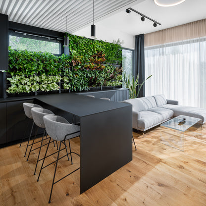 PlantBox - Živá stěna 3 moduly