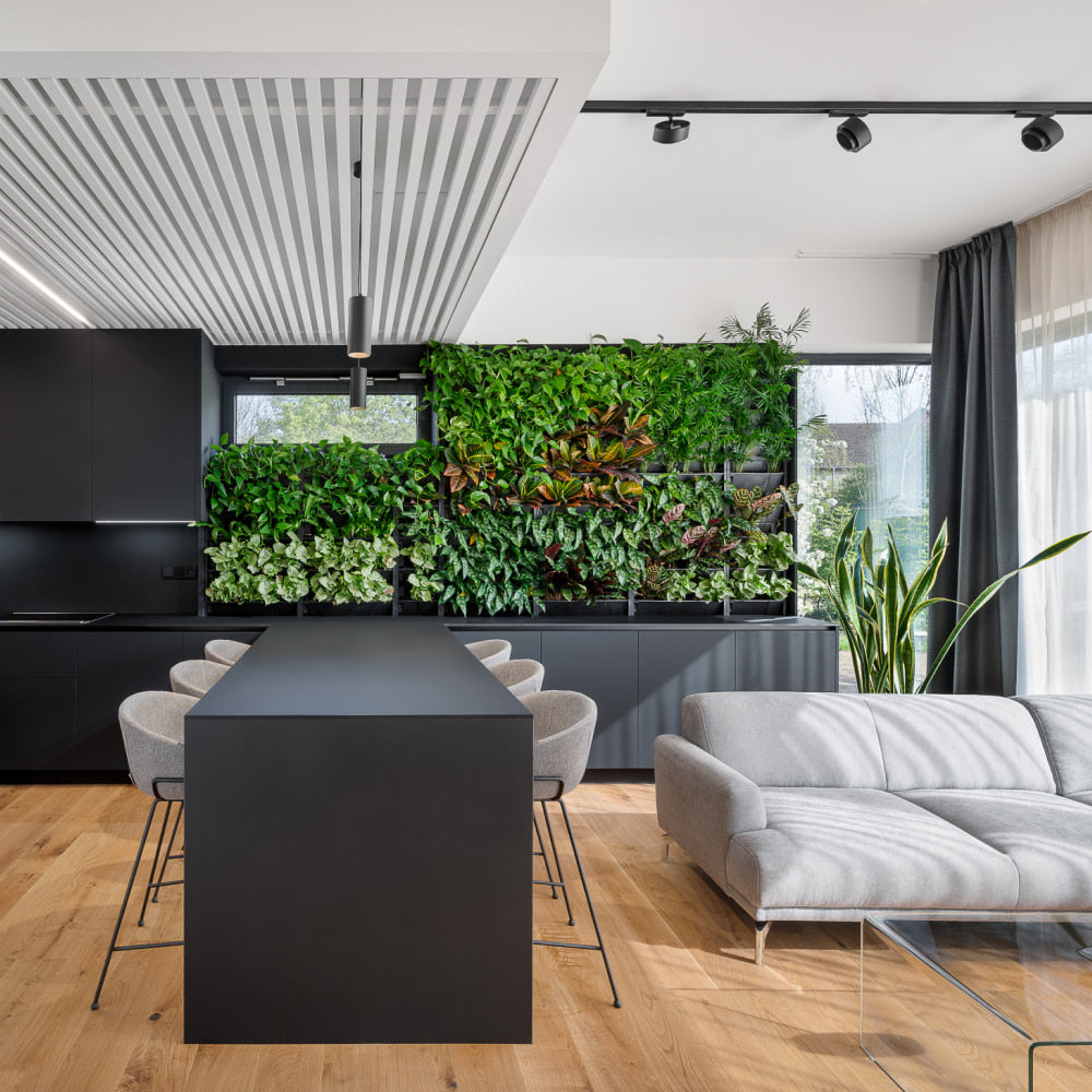 PlantBox - Živá stěna 3 moduly