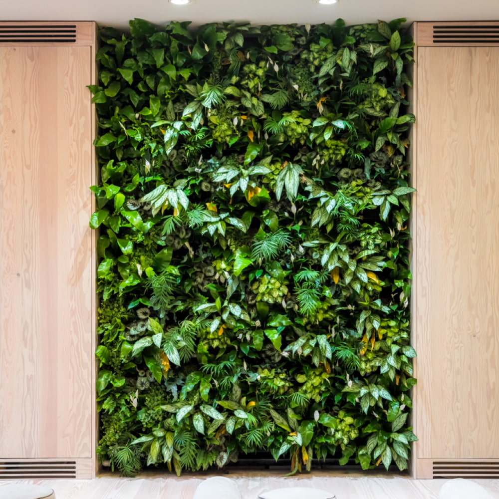 PlantBox - Živá stěna 3 moduly