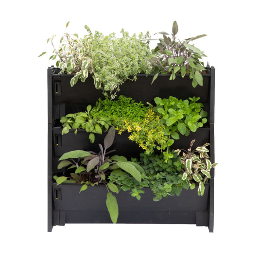 PlantBox - Živá stěna 3 moduly
