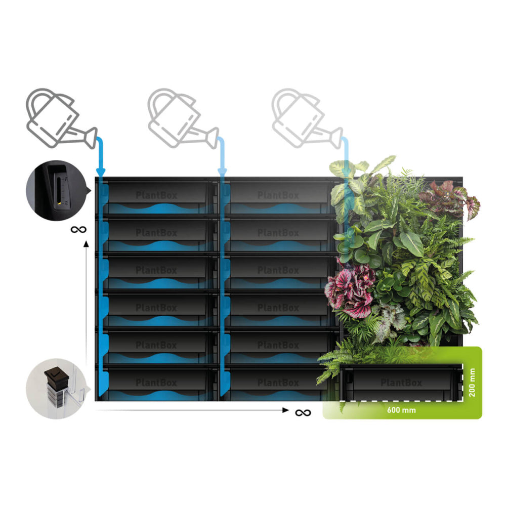 PlantBox - Živá stěna 3 moduly