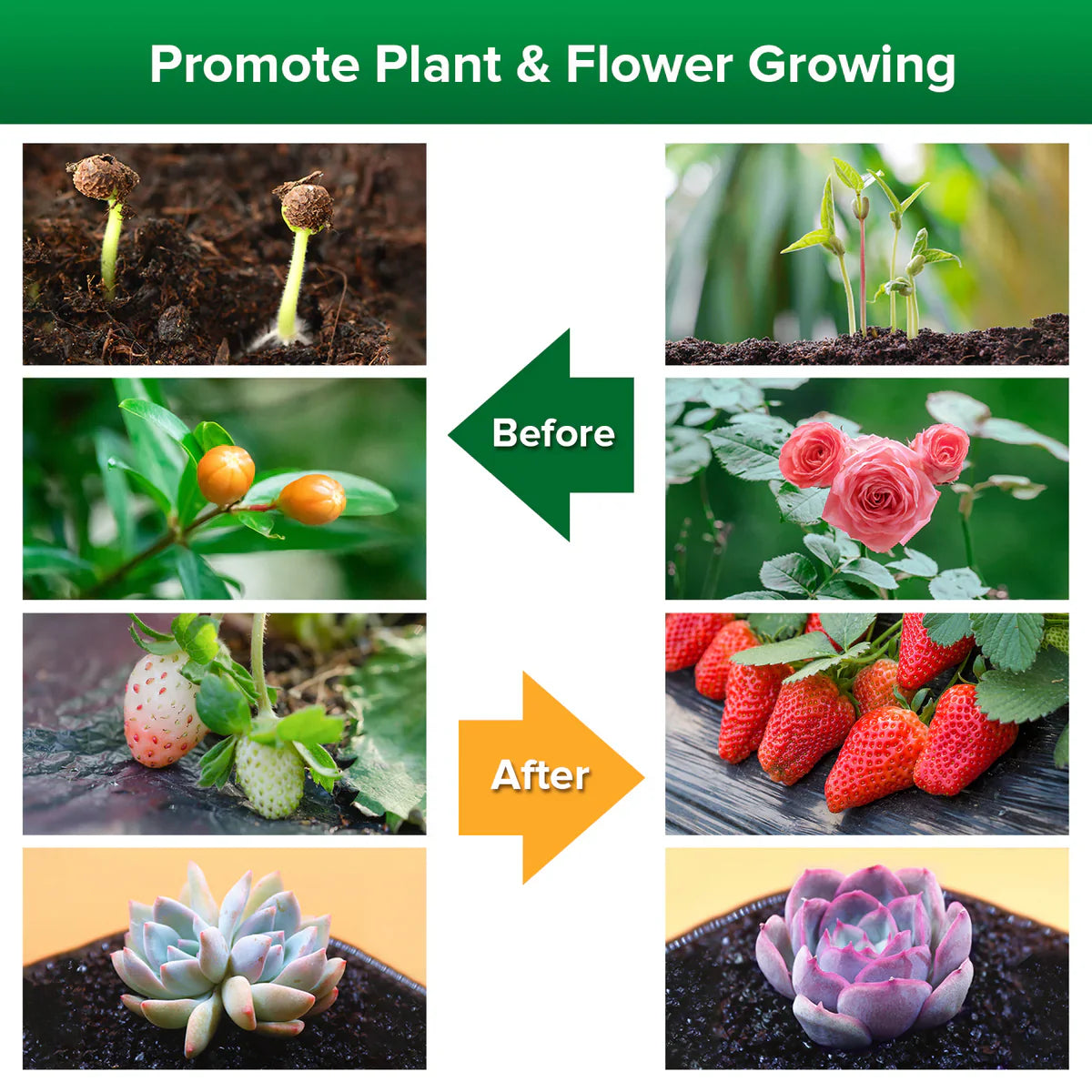 SANSI 40W LED nastavitelná lampička pro růst rostlin s časovačem