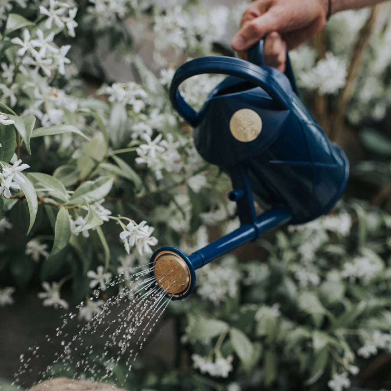 HAWS The Bartley Burbler Blue konev - 1l