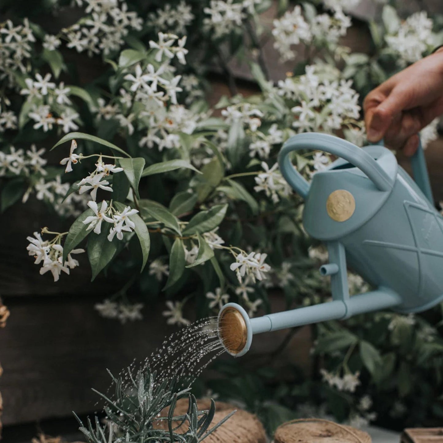 HAWS The Bartley Burbler Duck Egg Blue konev - 1l