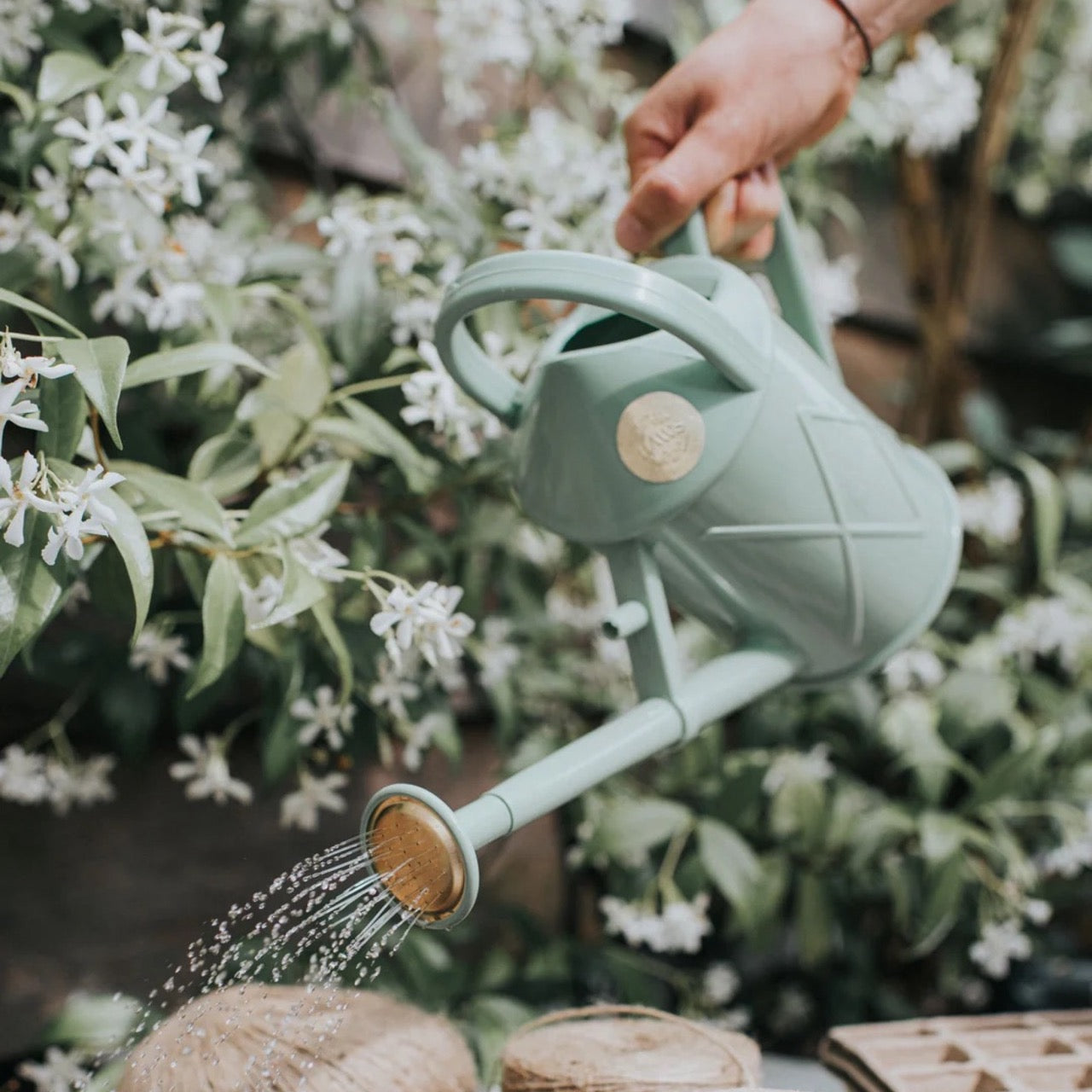 HAWS The Bartley Burbler in Sage konev - 1l