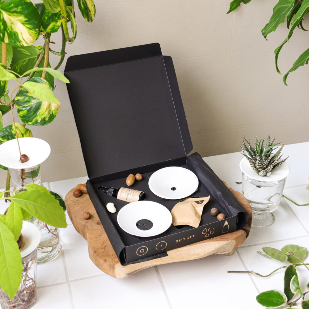 Dárková sada pro klíčení a množení ve vodě