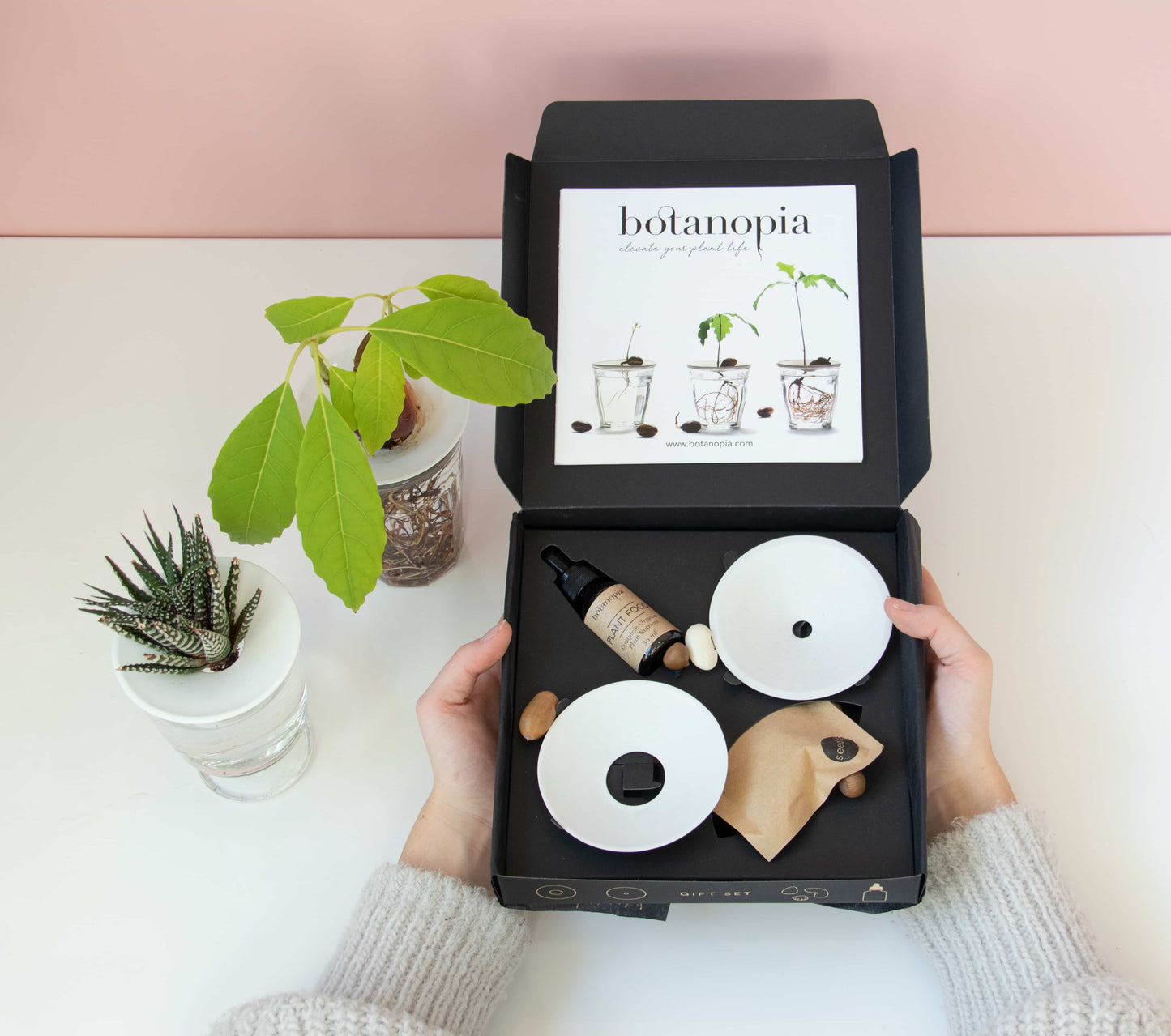 Dárková sada pro klíčení a množení ve vodě