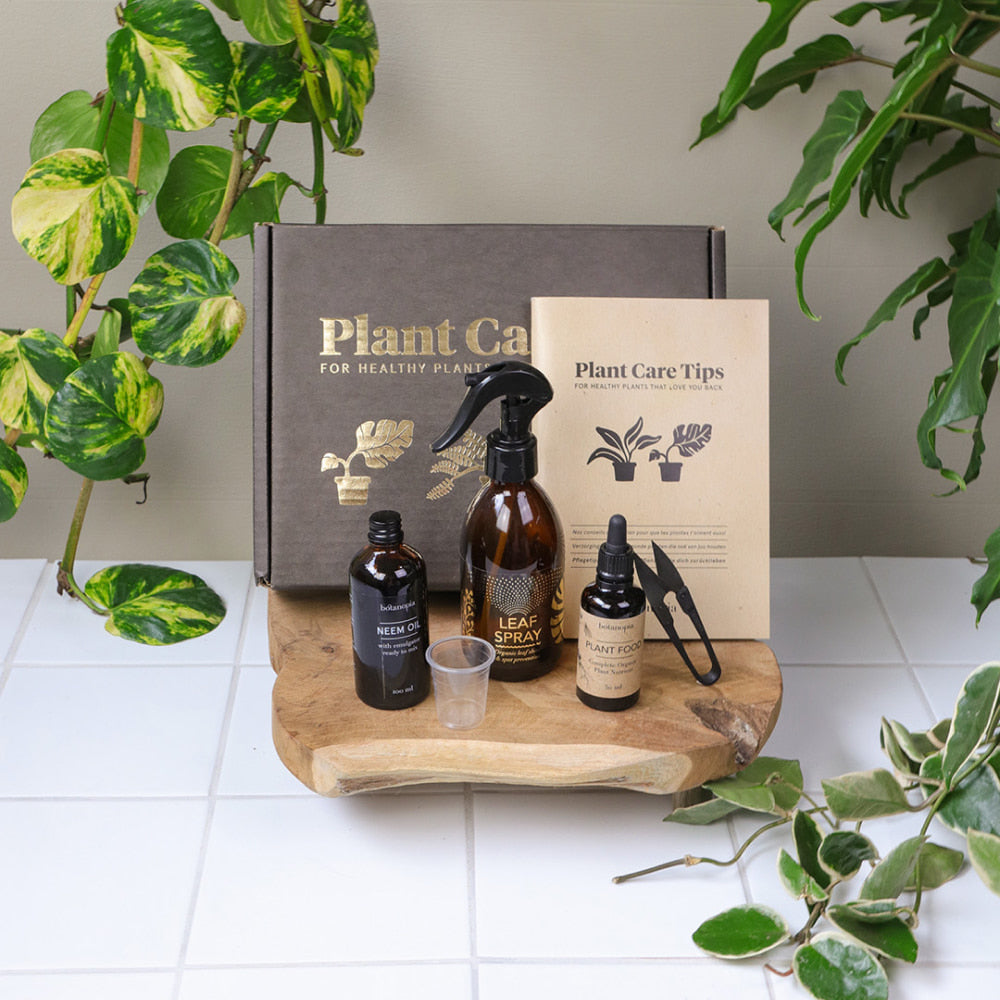 Dárkový box pro péči o pokojovky