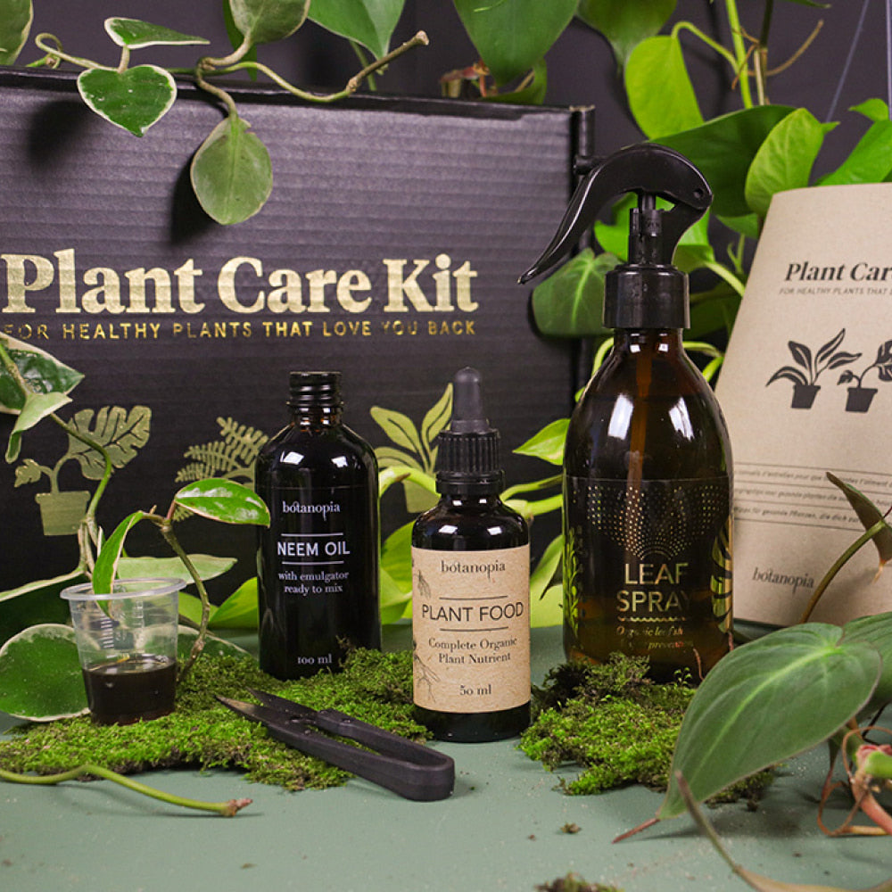 Inspirace na dárek z Dej mi pokojovku