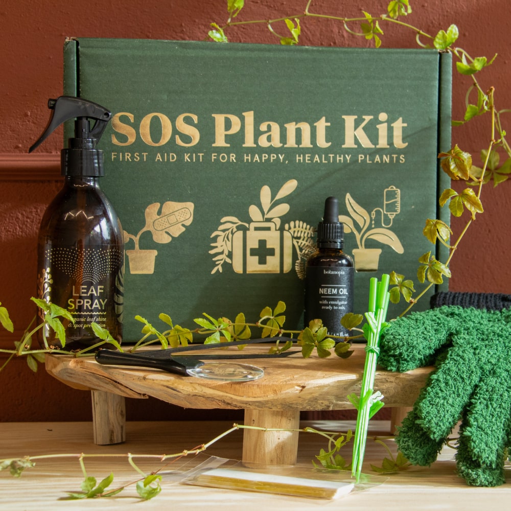 SOS dárkový box první pomoci pro pokojovky