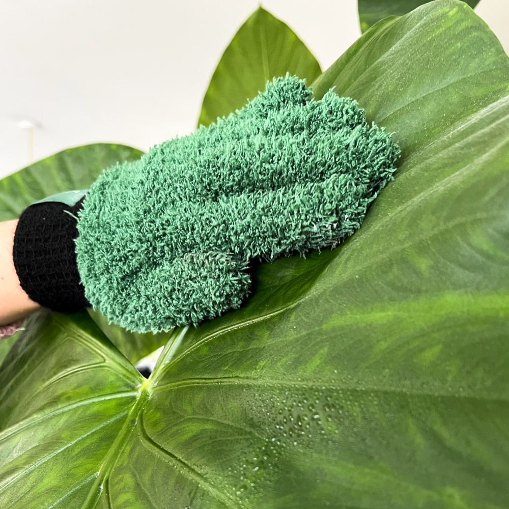 SOS dárkový box první pomoci pro pokojovky