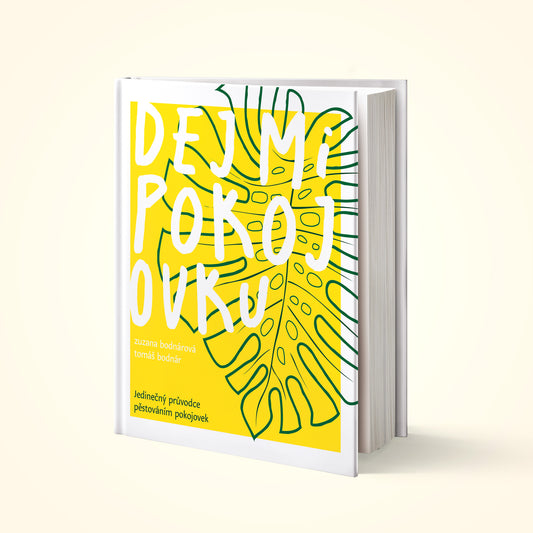 Naše kniha: Dej mi pokojovku