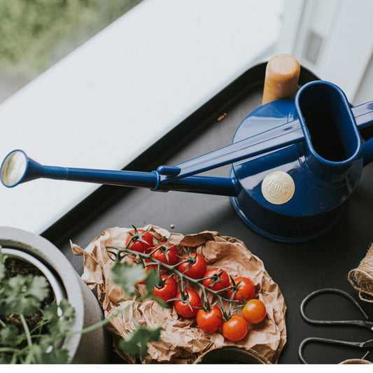 HAWS The Langley Sprinkler Blue konev - 0,56l