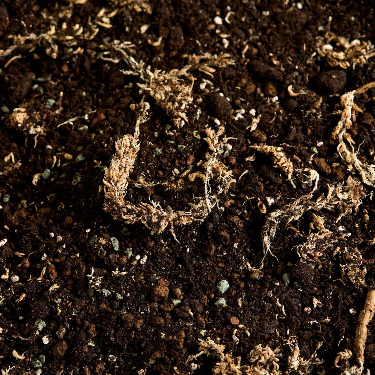 Substrát – detail 2