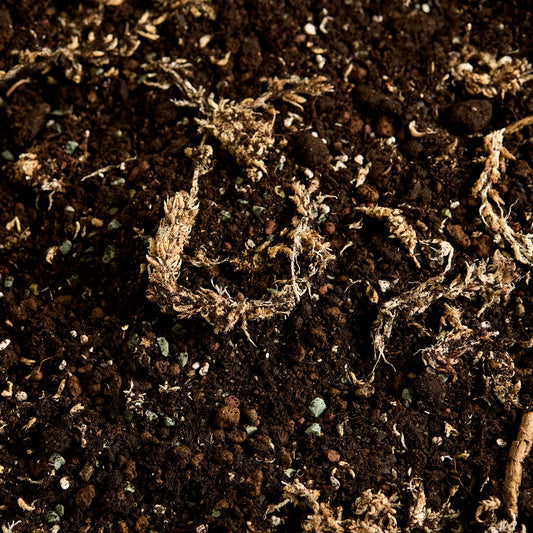 Náš substrát na kokedamu bez rašeliny