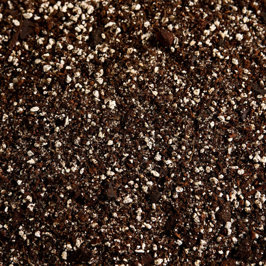 Náš substrát bez rašeliny - Modlivky