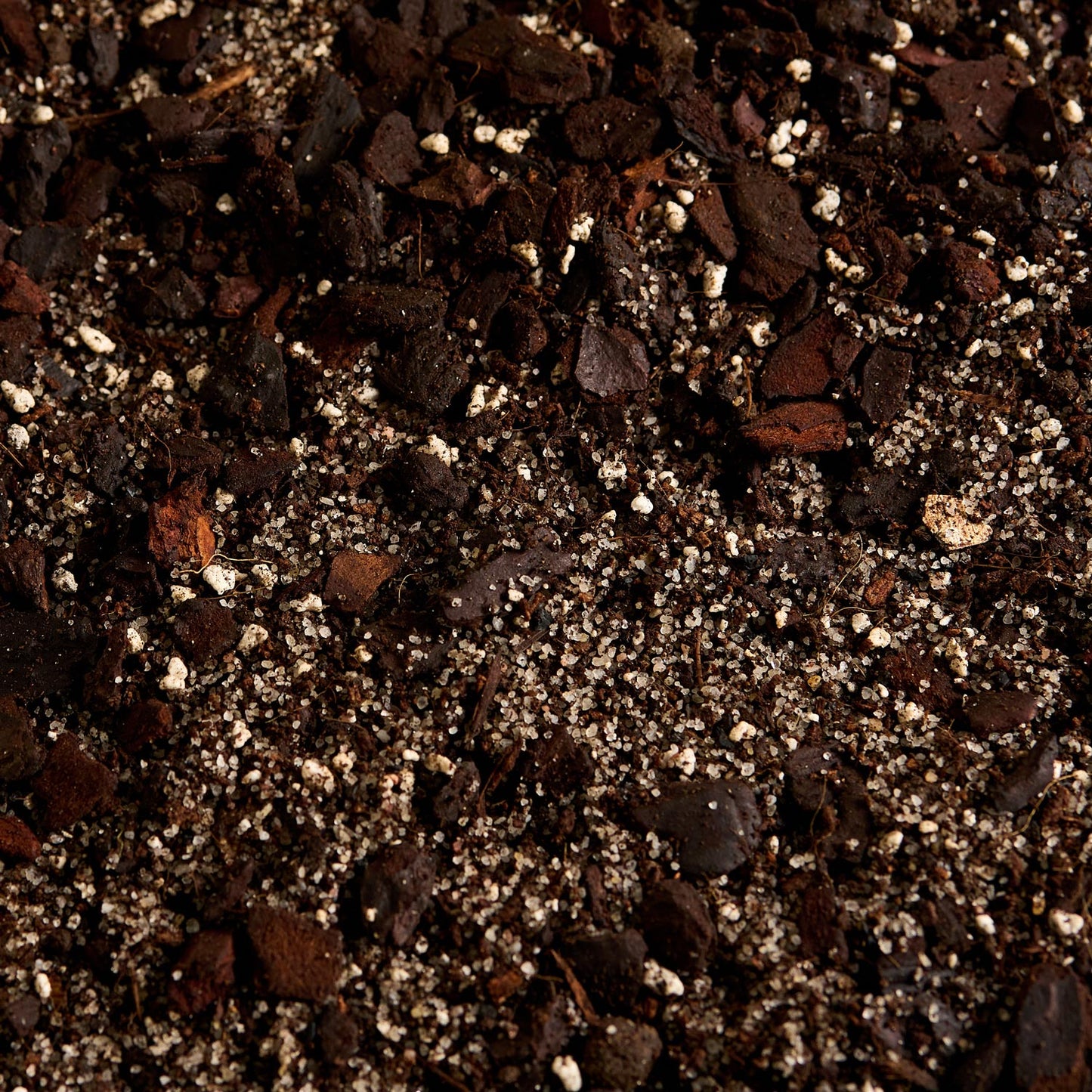 Náš substrát bez rašeliny - Palmy