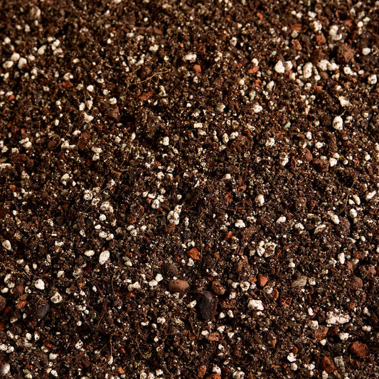 Náš substrát bez rašeliny - Sukulent