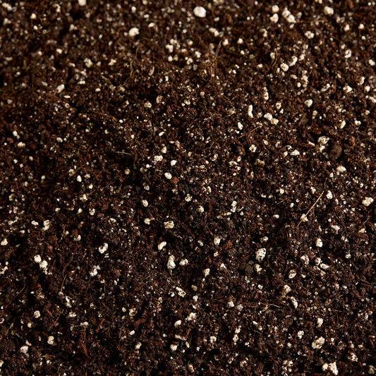 Náš substrát bez rašeliny - UNI