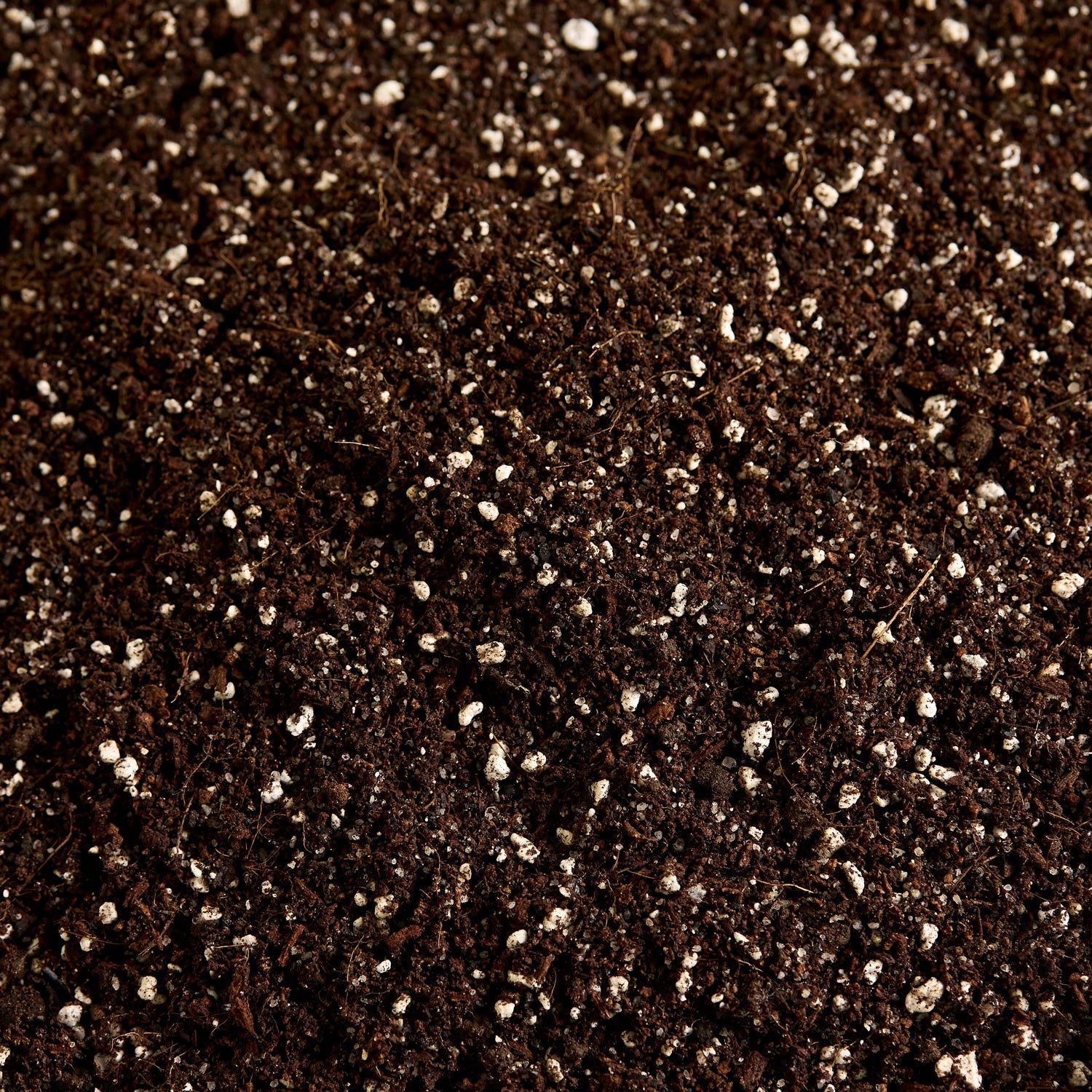 Substrát – detail 1