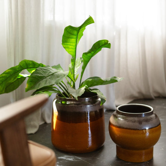 Obal na květináč Doo Wop