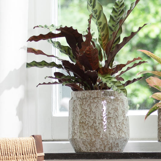 Obal na květináč Antes Pískově Hnědá