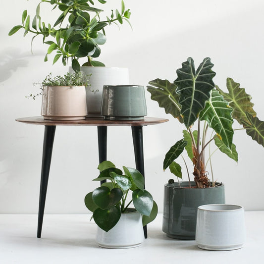 Obal na květináč Basalt Modrá