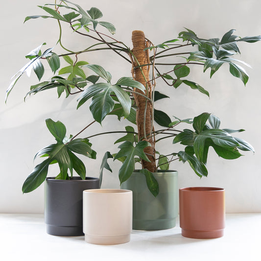 Obal na květináč Sense Matt Černá