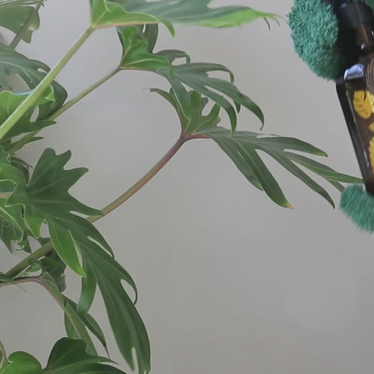 Rukavice z mikrovlákna na čištění listů