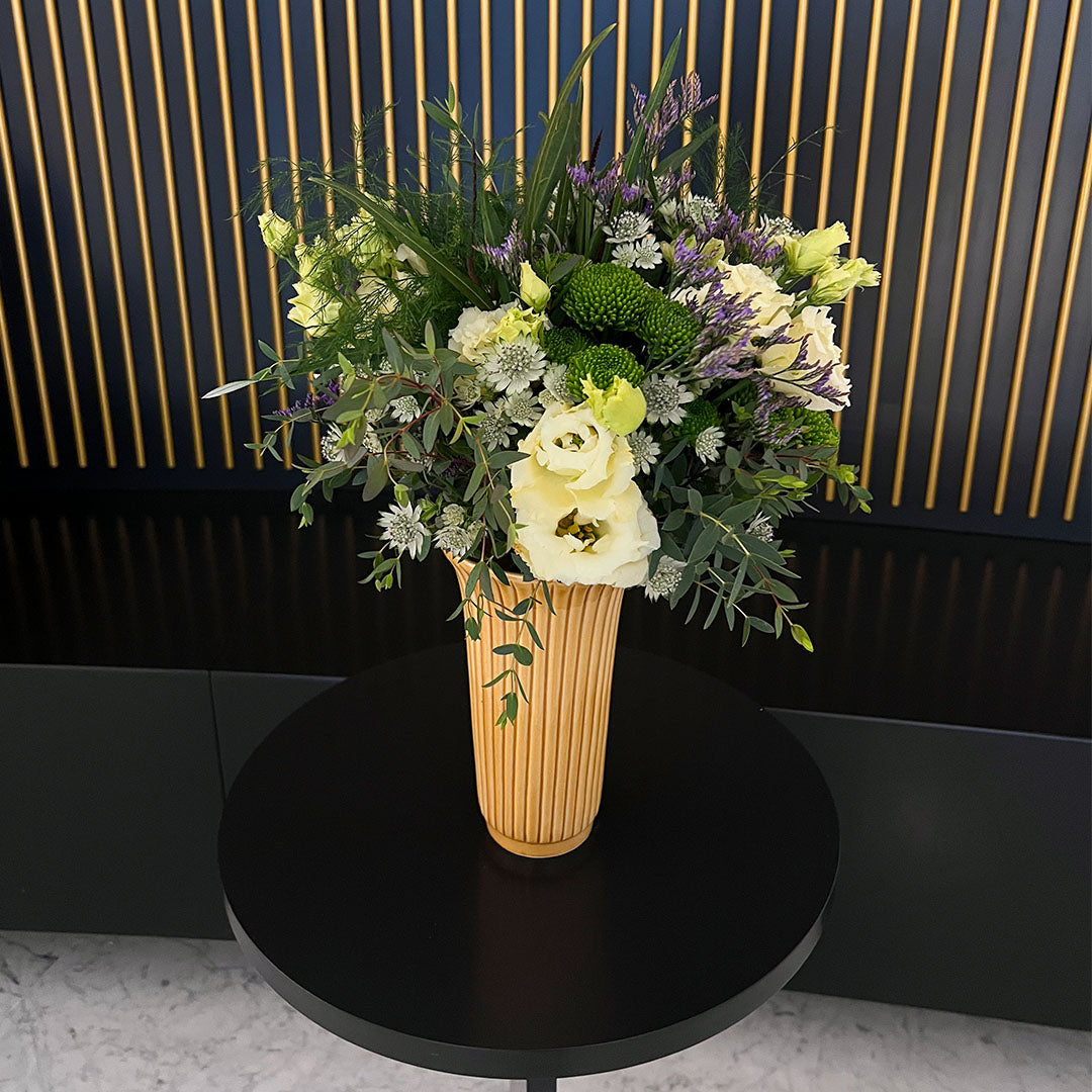 Dárky z Dej mi pokojovku