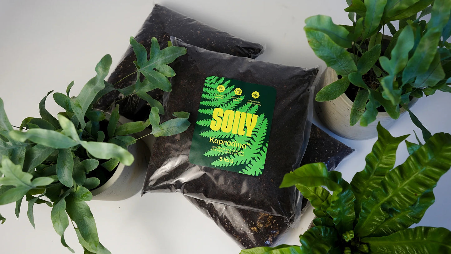 SOILY KAPRADINA™ – Substrát s rašelinou