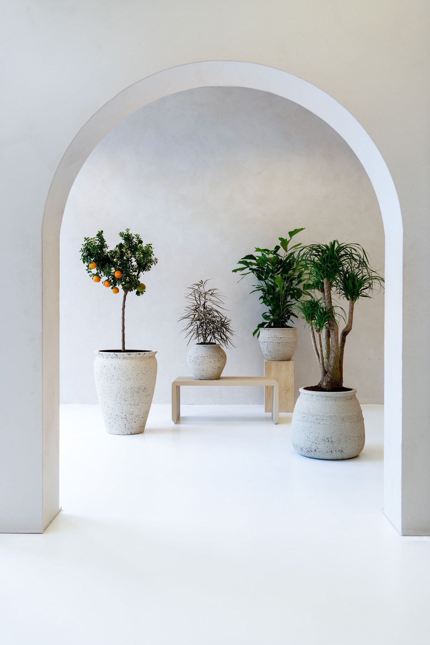 Designové květináče a vázy Potzillas