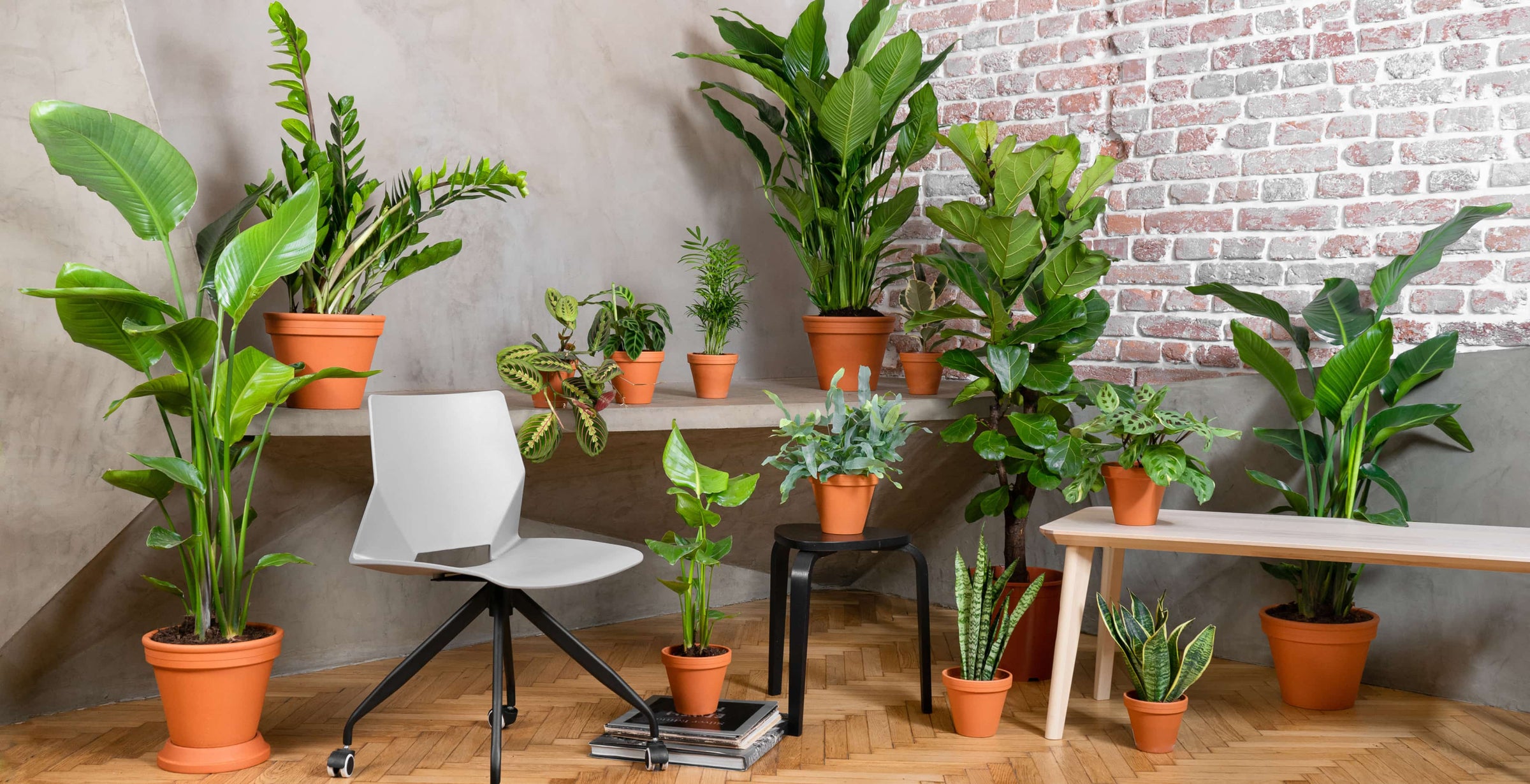 Substrát – detail 1