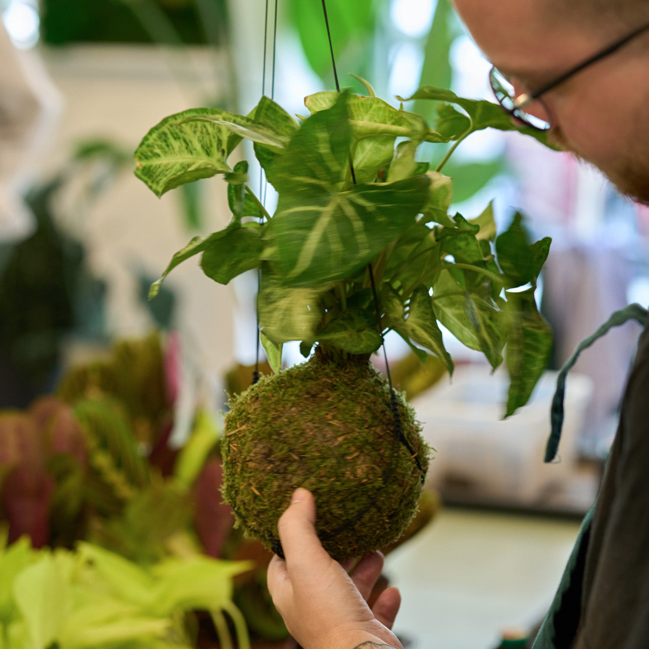 Workshop: Výroba kokedamy